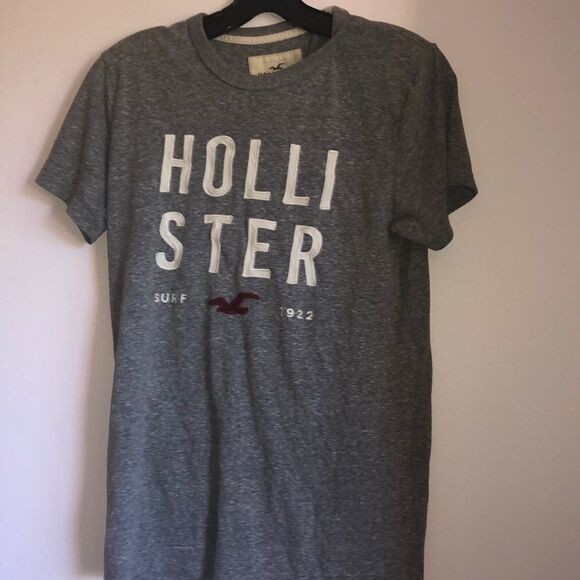 Hollister Gray Tee Shirt With Logo On It - Picture 1 of 6